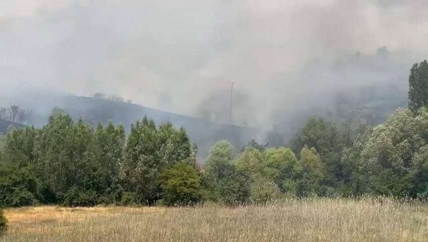 Elazığ'da orman yangını - Resim: 25
